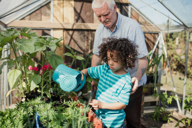 istock Watering Plants in the Greenhouse 1023518326