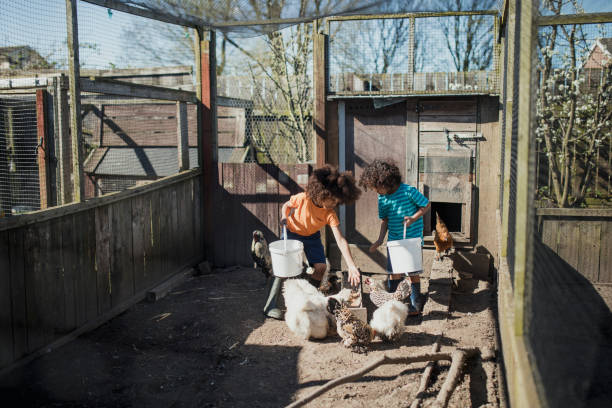 istock Little Boys Feeding the Chickens 1023518604