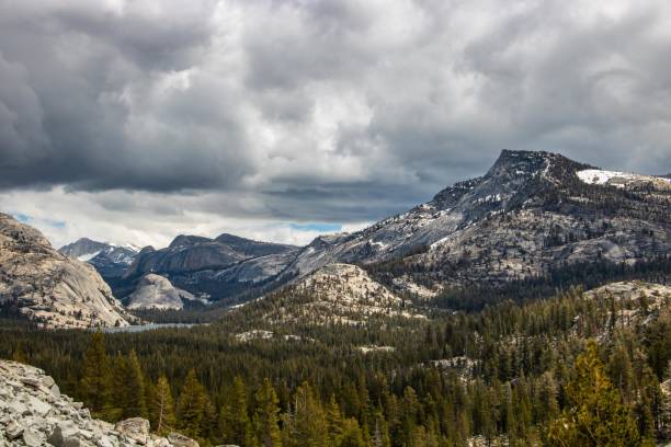 Tioga Road