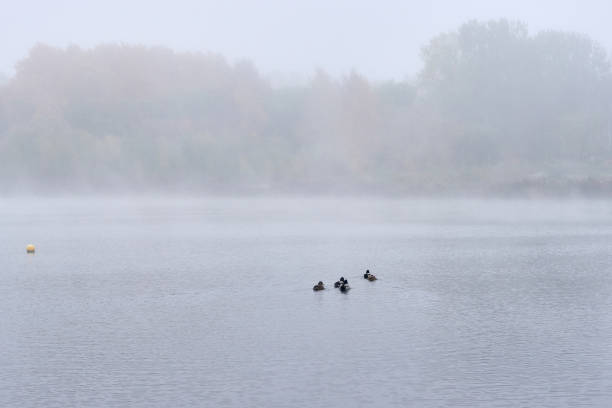 istock Fog in the autumn over the lake. 1023528154