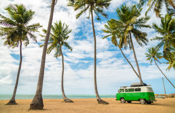 klasyczny volkswagen kombi van na plaży - volkswagen zdjęcia i obrazy z banku zdjęć