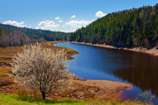 Scenic view of natural valley with trees and water at Tennycape, Nova Scotia.