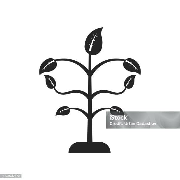 Tree Growing Icon Vector Sign And Symbol Isolated On White Background Tree Growing Logo Concept Stock Illustration - Download Image Now