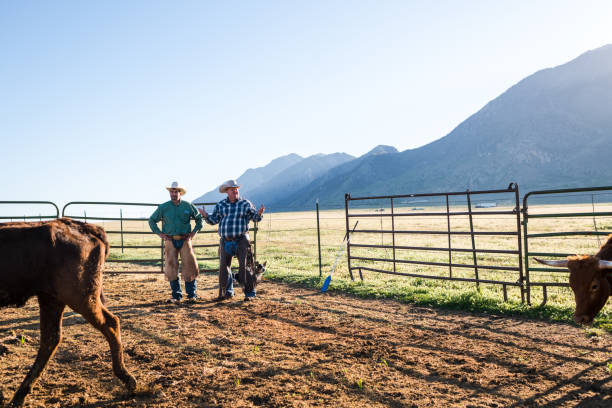 istock Ranchers standing inside an animal pen at sunrise 1023534520