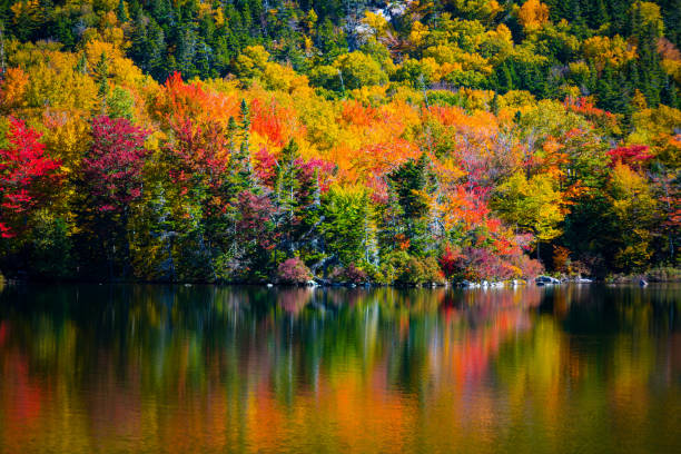 istock Indian Summer in New England, USA 1023534650