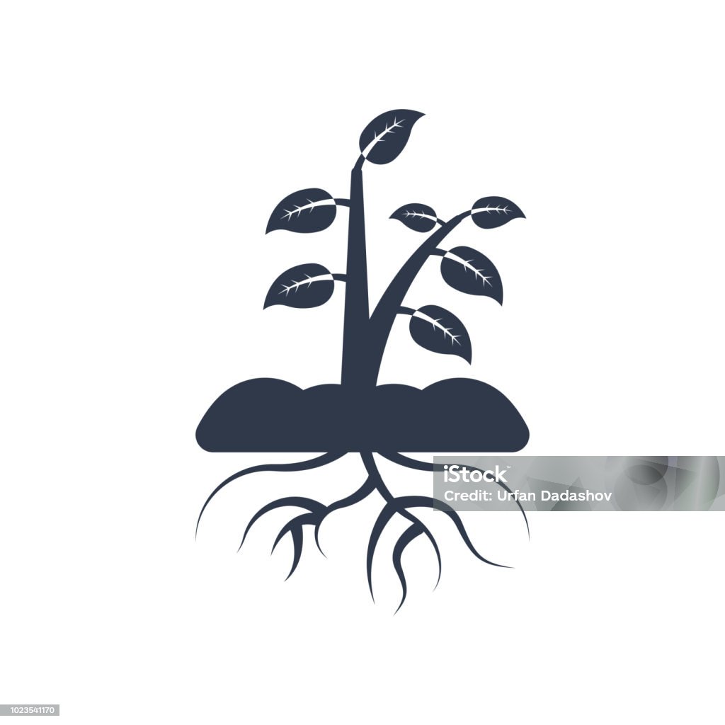 Plant and root icon vector sign and symbol isolated on white background, Plant and root logo concept Plant and root icon vector isolated on white background for your web and mobile app design, Plant and root logo concept Design stock vector