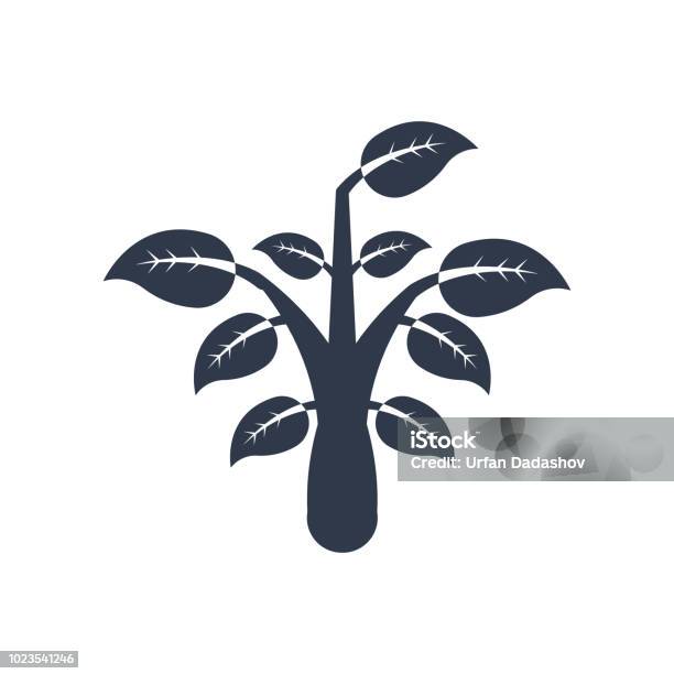 Plant Icon Vector Sign And Symbol Isolated On White Background Plant Logo Concept Stock Illustration - Download Image Now