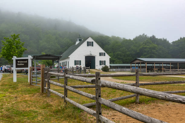 와일드 우드 마구간에 아카디아 국립 공원 - cadillac mountain maine new england usa 뉴스 사진 이미지