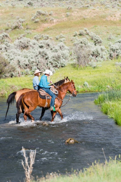 istock Two cowboys on horses crossing a stream 1023552352