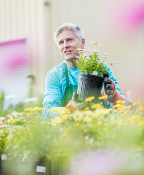 istock Mature man working in plant nursery 1023552882