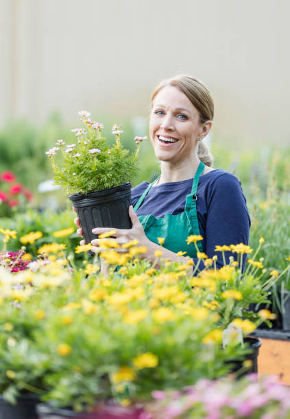 istock Mature woman working in plant nursery 1023552898