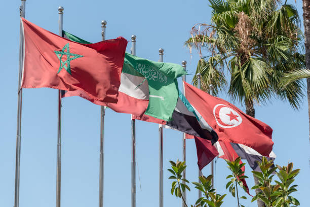 sinalizadores de mena (oriente médio e norte da áfrica) - egyptian flag flag africa middle east - fotografias e filmes do acervo