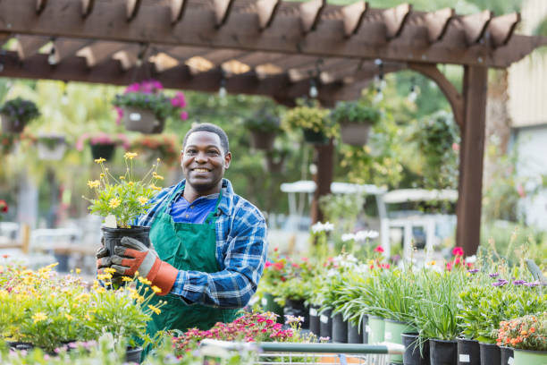 istock Mature African-American man working in plant nursery 1023557828