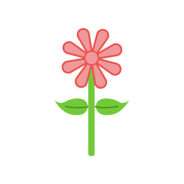 istock Flower icon vector sign and symbol isolated on white background, Flower logo concept 1023558766