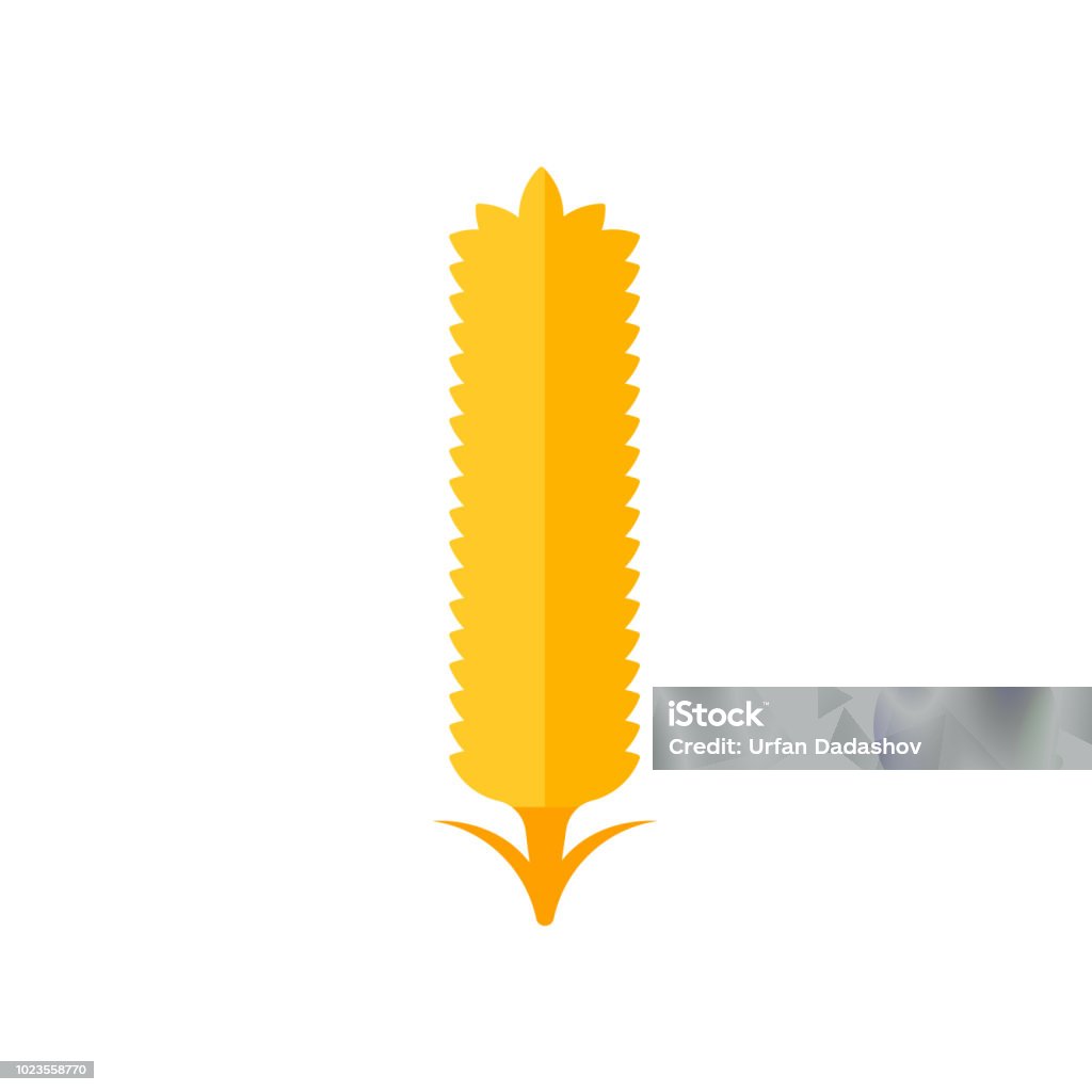 Wheat icon vector sign and symbol isolated on white background, Wheat logo concept Wheat icon vector isolated on white background for your web and mobile app design, Wheat logo concept Agriculture stock vector