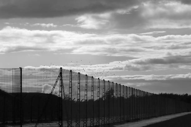 istock Black and white birds flying away after rain 1023558840