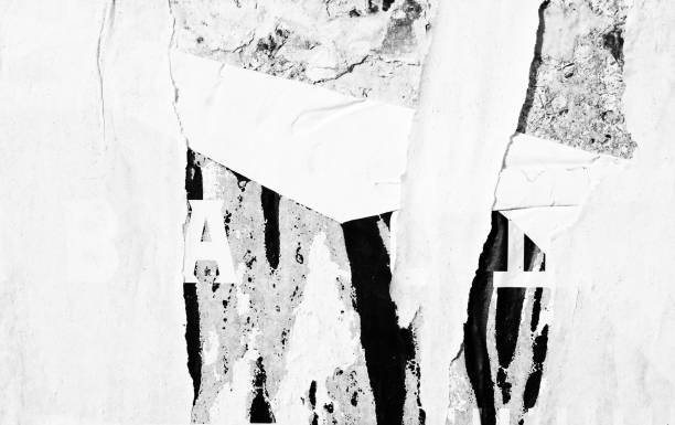 istock Blank white old ripped torn paper crumpled creased posters grunge textures backdrop backgrounds placard 1023562376