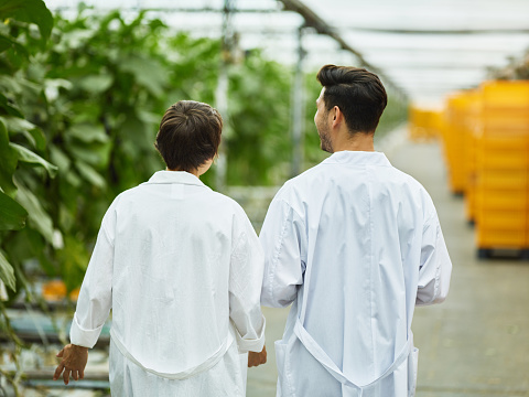 Back view of communicating man and woman in white gowns walking in modern greenhouse and talking