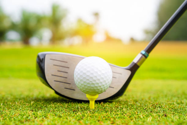 istock Golf course green and golf ball close in the grass field 1023563766