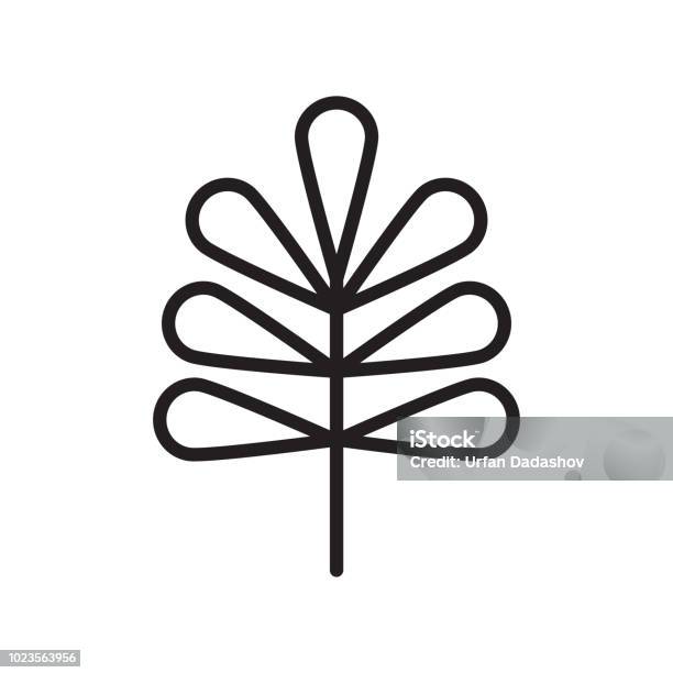 Pecan Leaf Icon Vector Sign And Symbol Isolated On White Background Pecan Leaf Logo Concept Stock Illustration - Download Image Now