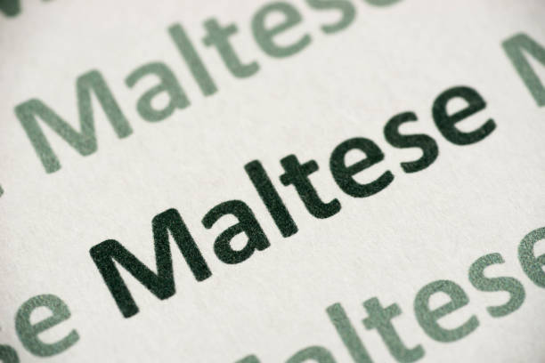 word Maltese language printed on paper macro
