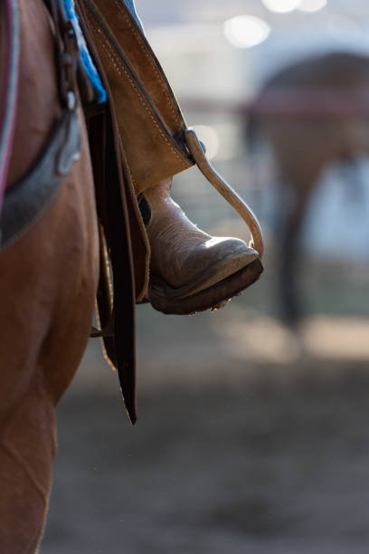 istock Close up of a woman's boot in stirrups 1023573924