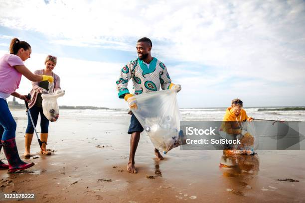 Activists Working Together Making A Difference Stock Photo - Download Image Now - Cleaning, Beach, Environmental Cleanup