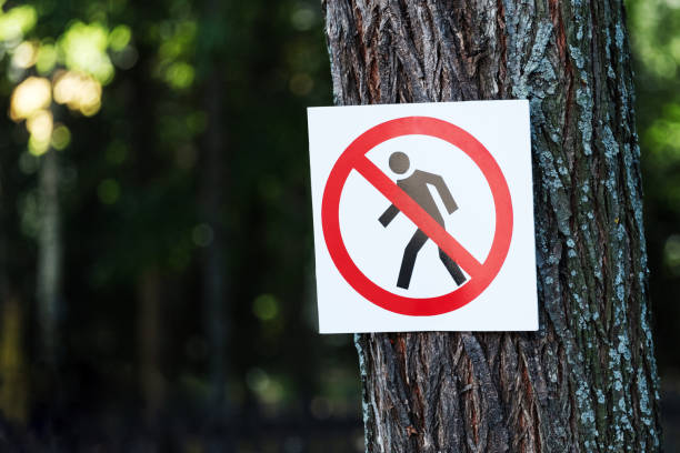 istock No entry - a sign hanging on a tree 1023578928