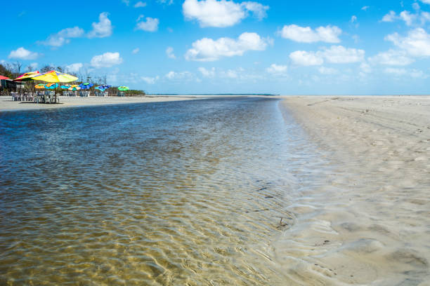 Landscape of undiscovered Crispim beach (Marapanim, Para, Brazil) with a tidal water channel on foreground, and some sun umbrellas on background
