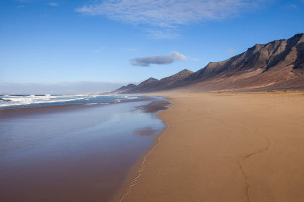 istock Beautiful tropical sand beach and ocean 1023589074