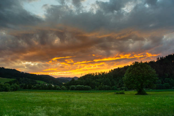 istock Germany, Red sky summer sunset over black forest nature landscape 1023589506