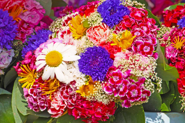 istock Seasonal flowers 1023593394