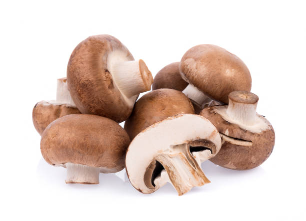 istock Mushroom champignon isolated on white background 1023601658