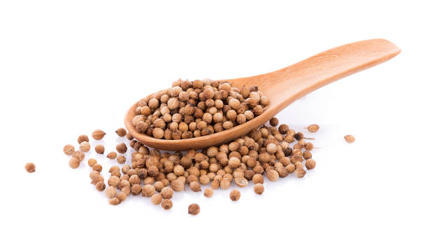 istock coriander seeds in spoon wooden on white background 1023602244