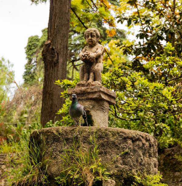this is a bird statue, that is part of an old bird bath
