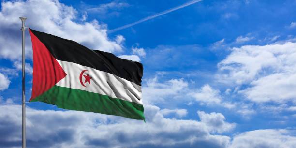 istock Western Sahara waving flag on blue sky. 3d illustration 1023607460