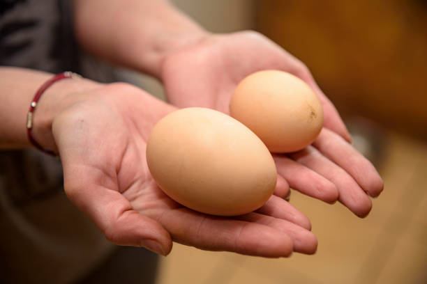 istock Homemade chicken egg with two yolks 1023611282