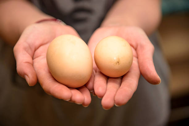 istock Homemade chicken egg with two yolks 1023611290