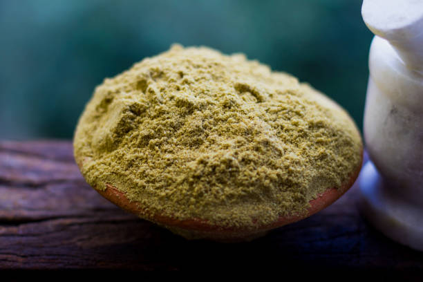 istock image of indian spices and its powder 1023624472