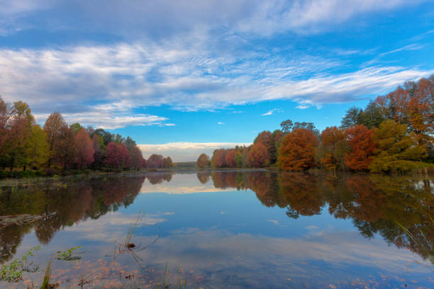 istock Reflection of autumn colored trees 1023628946