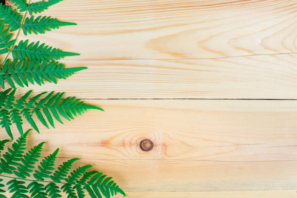 istock The fern leaf on wooden table 1023634646