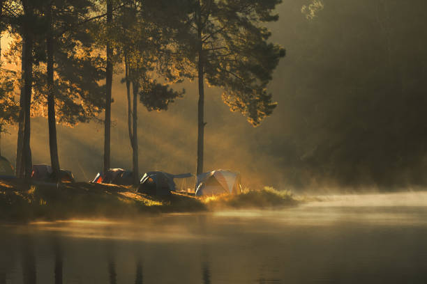 istock landscape with fog in the morning, 1023635756
