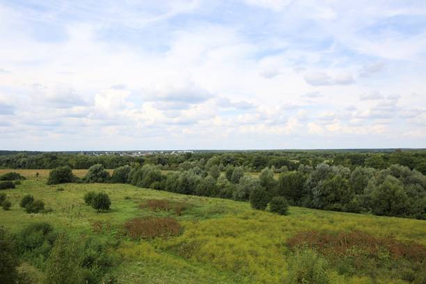 istock summer village landscape 1023643098