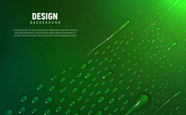 Different water drops lie on gradient background. Vector illustration for your design. Different water drops lie on green gradient background. beer brands stock illustrations