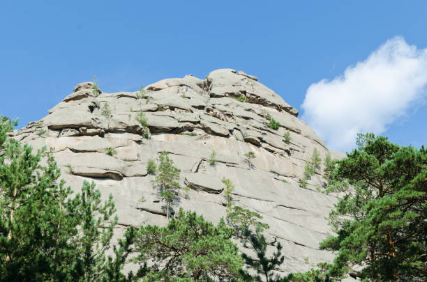 istock Mountain landscape, mountains covered with pine forest. 1023645436
