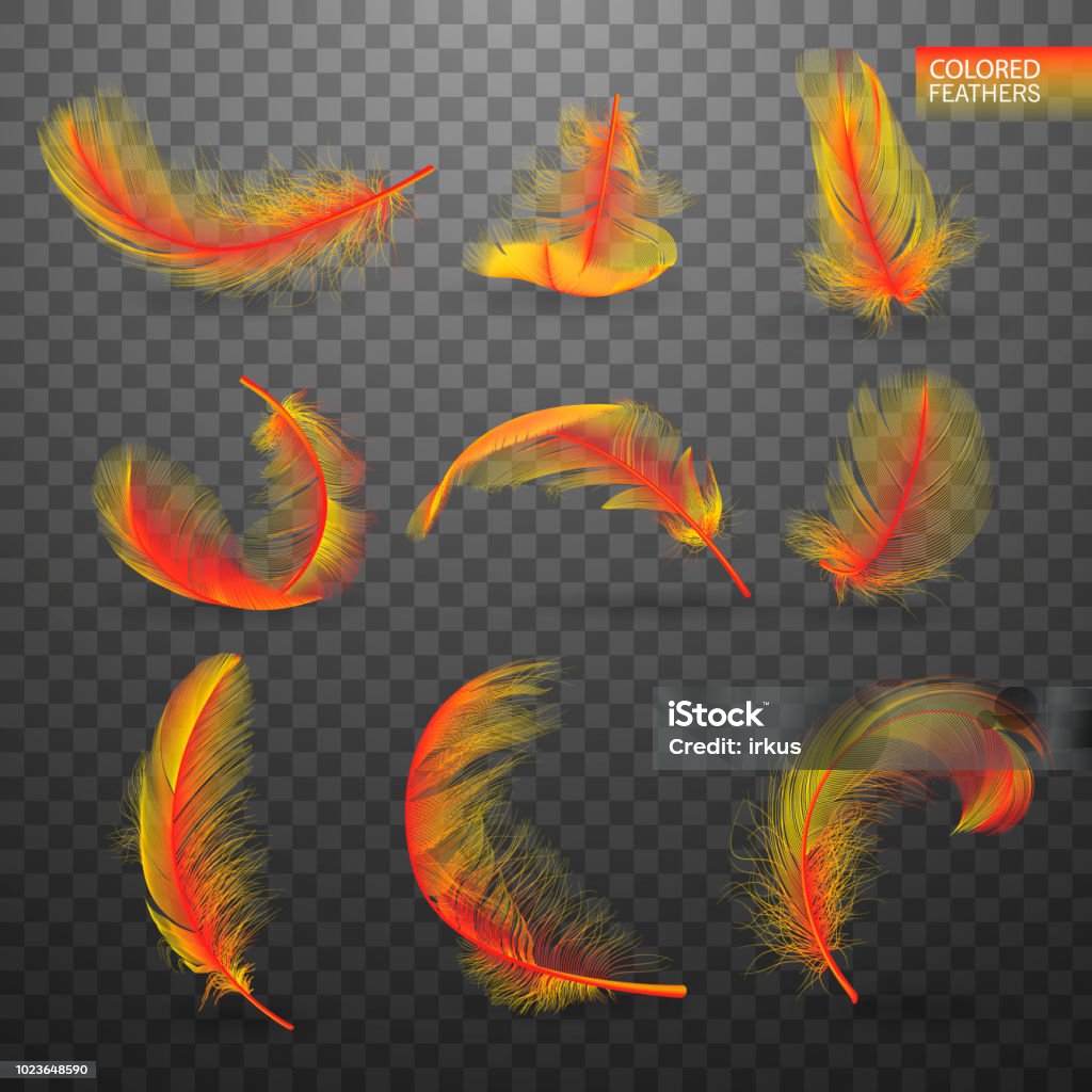 Set of isolated falling colored fluffy twirled feathers on transparent background in realistic style. Light cute feathers design. Elements for design. Vector Illustration Set of isolated falling colored fluffy twirled feathers on transparent background in realistic style. Light cute feathers design. Elements for design vector illustration Abstract stock vector