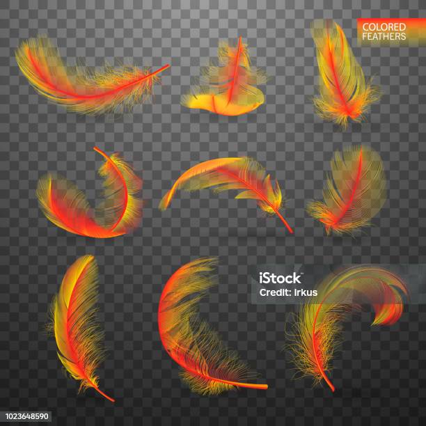 Set Of Isolated Falling Colored Fluffy Twirled Feathers On Transparent Background In Realistic Style Light Cute Feathers Design Elements For Design Vector Illustration Stock Illustration - Download Image Now