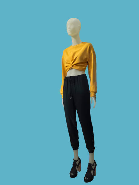 istock Full-length female mannequin. 1023648932