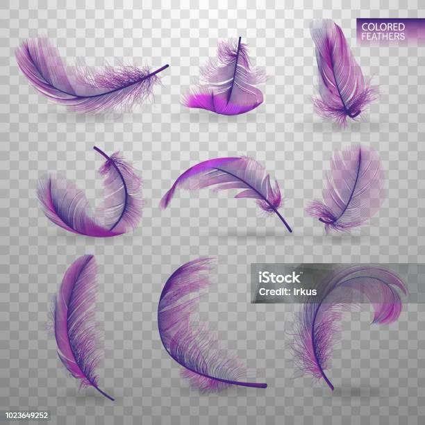 Set Of Isolated Falling Colored Fluffy Twirled Feathers On Transparent Background In Realistic Style Light Cute Feathers Design Elements For Design Vector Illustration Stock Illustration - Download Image Now