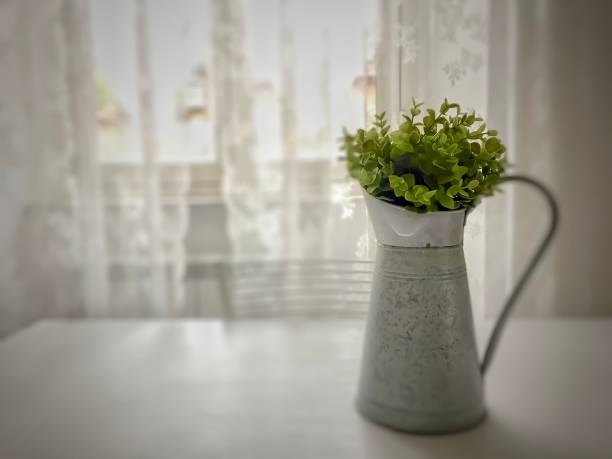 istock Potted green plant 1023649762